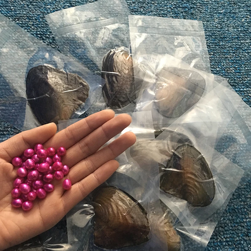 

Wholesale 5pcs Vacuum-packed AAA Dyed-color Freshwater Pearl Oyster with Rice Shape Pearl 7-8mm Colorful Pearl for Cage Pendant