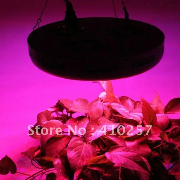 В Россию 150 W Led Grow Light, Прямая поставка