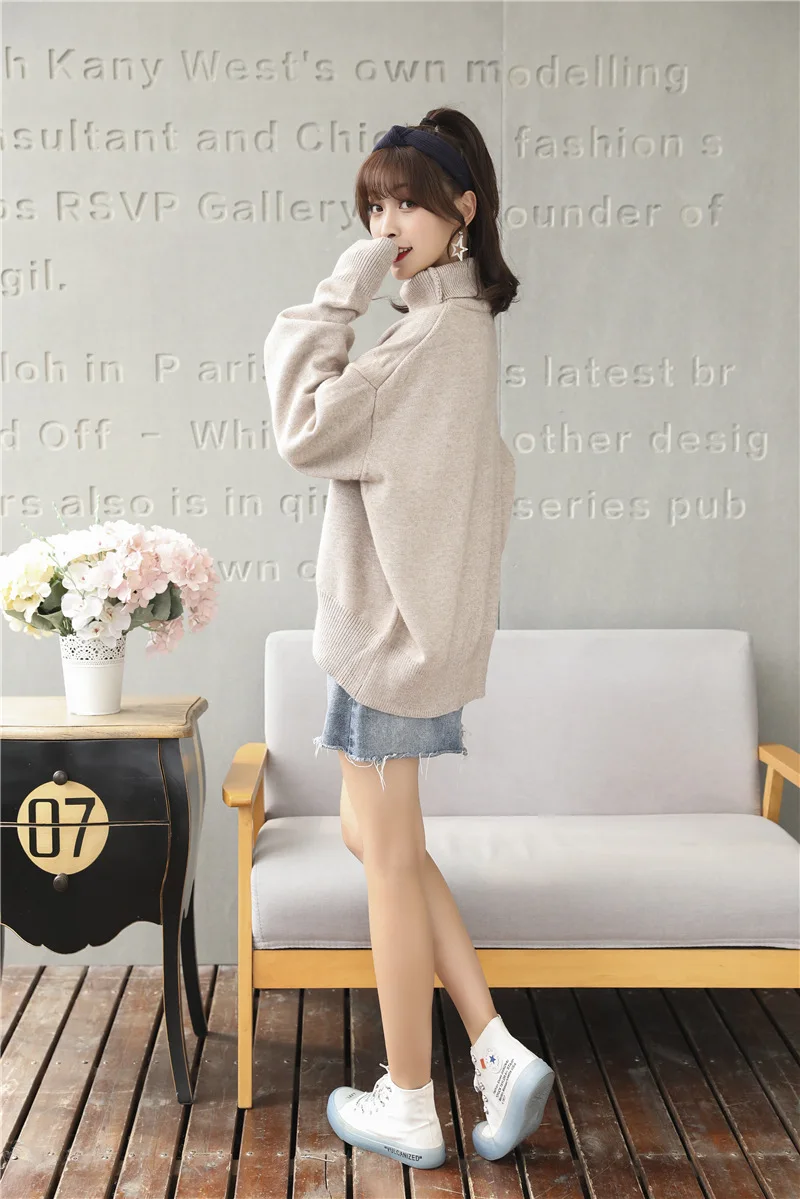 Knit Women Sweater  (12)