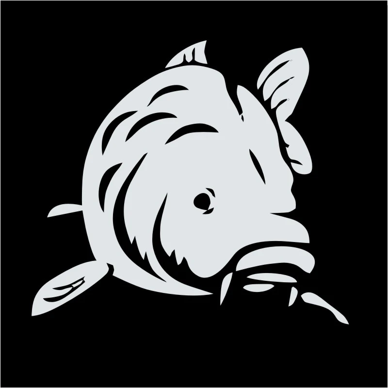 FISHING decalPesca pegatina nombre pescado bagre pesca etiqueta Ganchos aparejos caza Hunter parede decor mural sticker101 FISHING decalPesca pegatina nombre pescado bagre pesca etiqueta Ganchos aparejos caza Hunter parede decor mural sticker101
