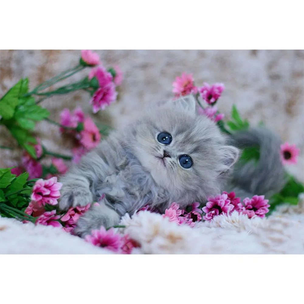 

Li Loye DIY 5D Diamond Embroidery Flowers cat Diamond Painting Cross Stitch Home Decor painting gift Mosaic diamond picture A151