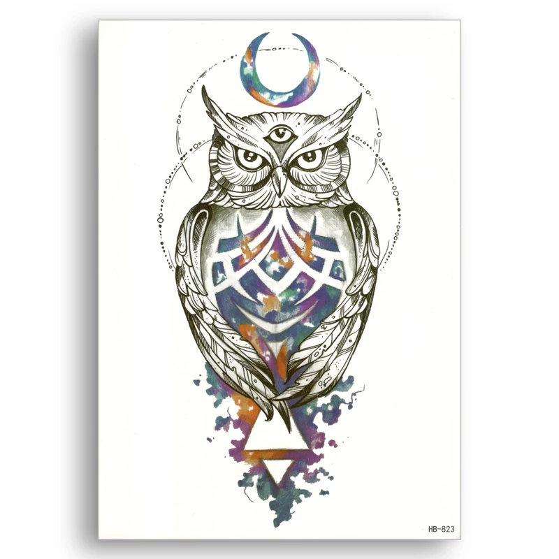 55 Gambar Burung Hantu Keren Terbaik