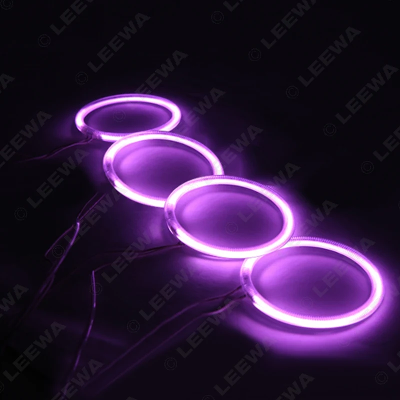 LW_D5