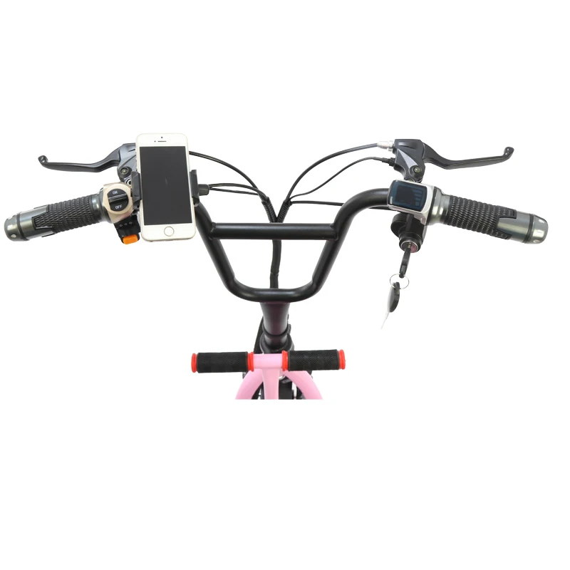 Nueva bicicleta eléctrica plegable de 12 pulgadas con cesta para mascotas batería de bicicleta eléctrica desmontable de viaje ebike adulto de 2 ruedas batería scooter