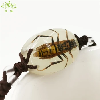 

Luminous Natural Bee Bracelets Handmade Real Insect Hand Bands Glow In The Dark Women Men Unisex Bangles Glow Bracelet Friend