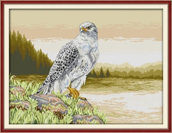

Falcon , counted printed on fabric DMC 14CT 11CT Cross Stitch kits,embroidery needlework Sets, Home Decor