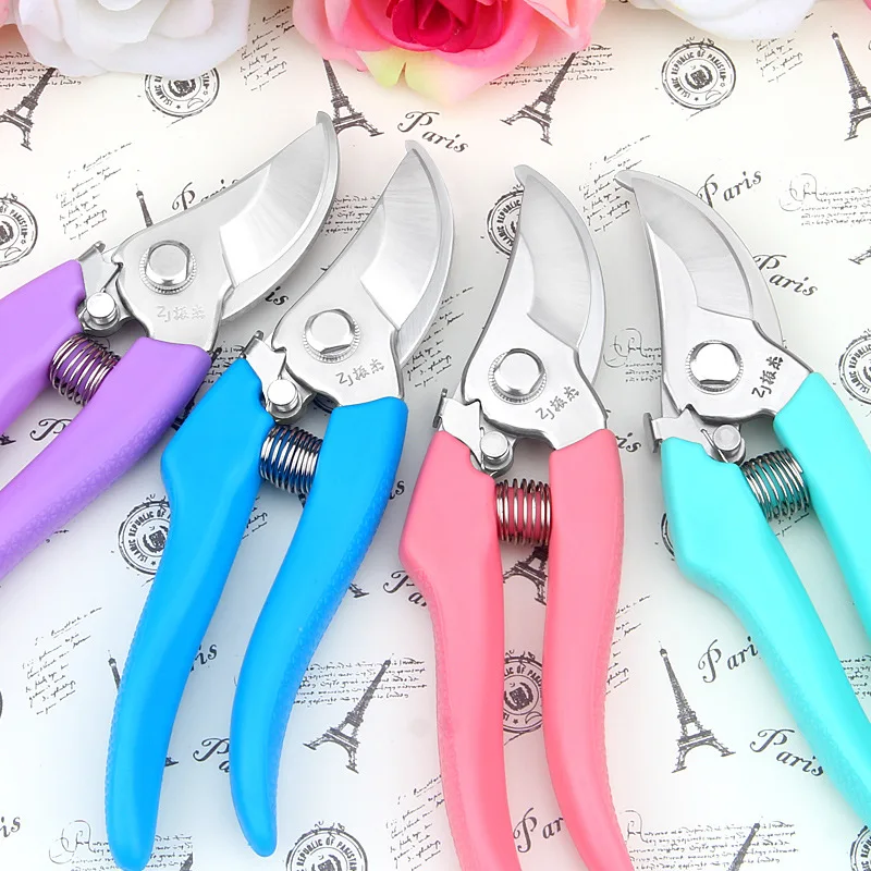Pruning Scissors (1)