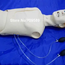 ISO назогастрический тренажер для кормления и лечения интубации, мужской уход за манекеном