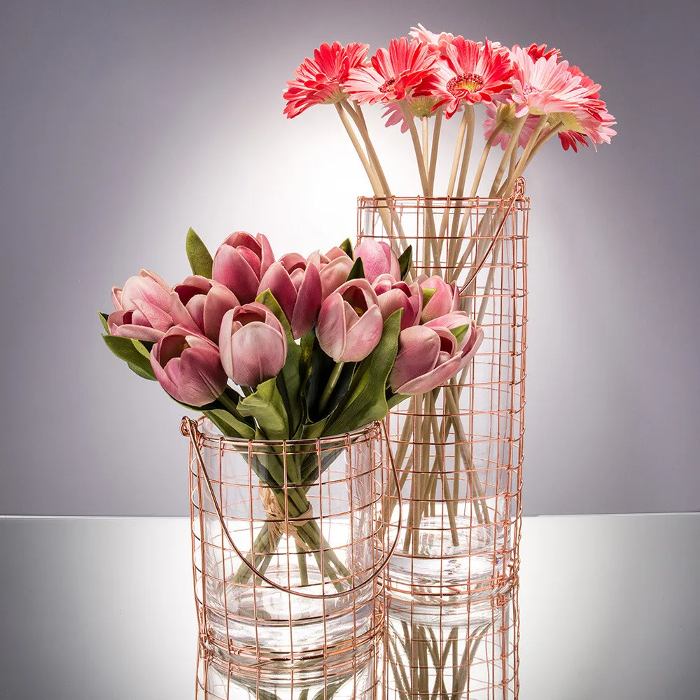

Simple Modern Glass Vase Bottle Rose Pink Iron Wire Handle Straight transparent Ornaments Water Jar
