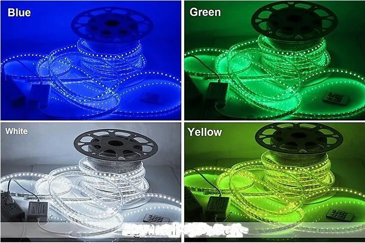 

factory direct sales Waterproof Rope light for outdoor 5050 band garden light Tree Lights Christmas Lights RGB controller Strip