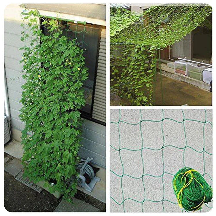 vegetable-net-7502