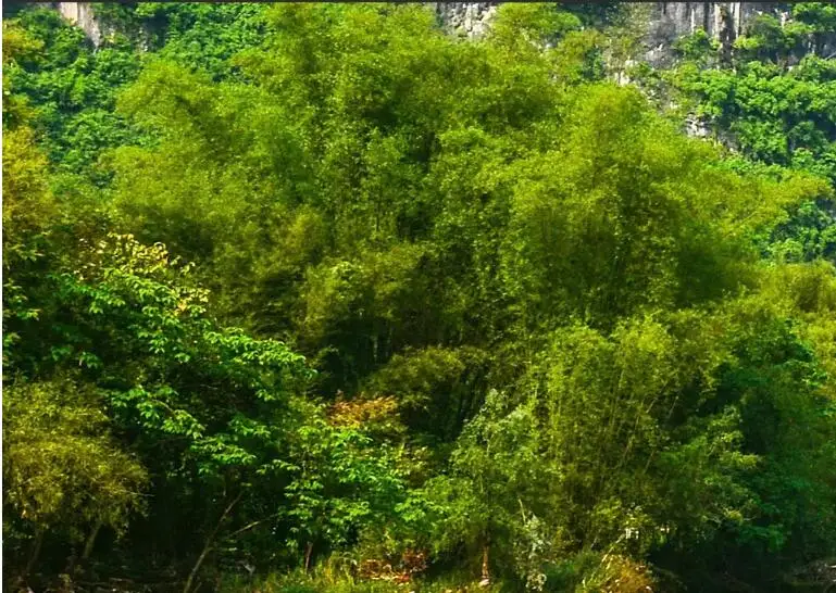 QQ20180814181058