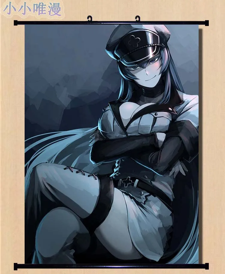 Японские декоративные картинки аниме Akame ga KILL! Персонаж сексуальная девушка Esdese