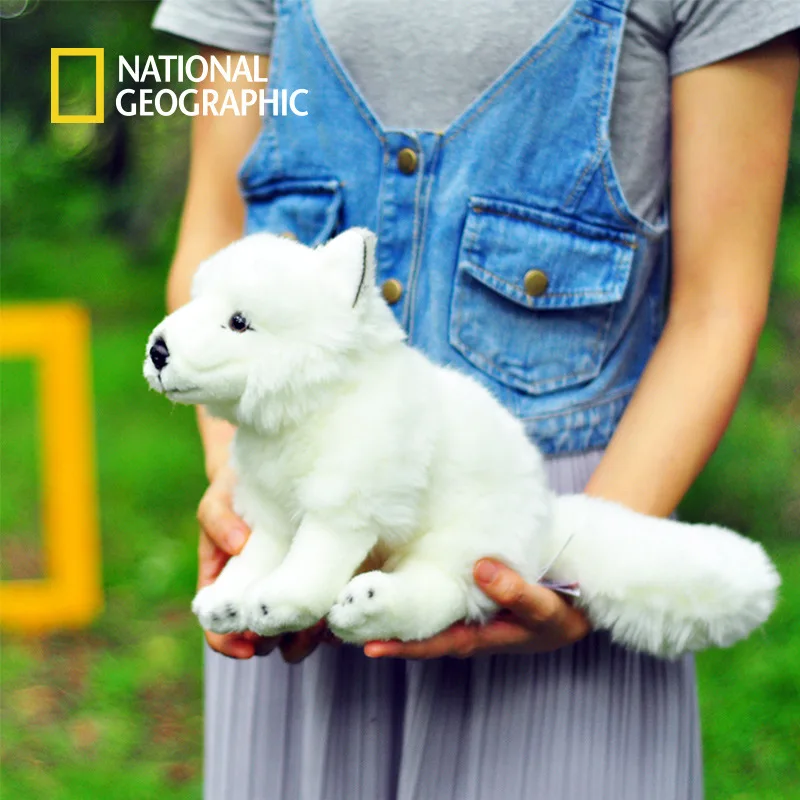 

National Geographic stuffed little foxes Alopex lagopus toy white animal 23cm high quality