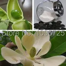 

100% NATURAL GRIFFONIA SEED EXTRACT 20% 5 HTP