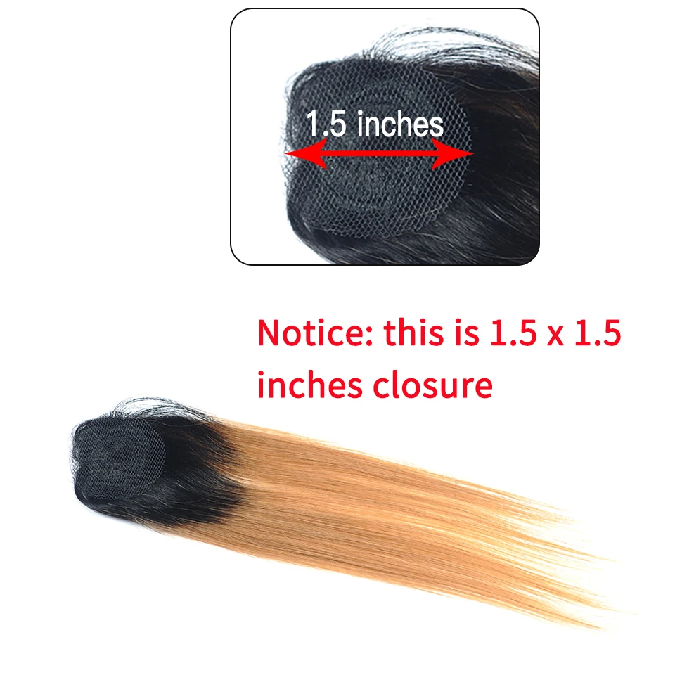 T1B 27 Honey Blonde Ombre 3 Brazilian Straight Hair Bundles With Closure Human Hair Weave With Closure Shiningstar Non Remy Hair T1B 27 Honey Blonde Ombre 3 Brazilian Straight Hair Bundles With Closure Human Hair Weave With Closure Shiningstar Non Remy Hair