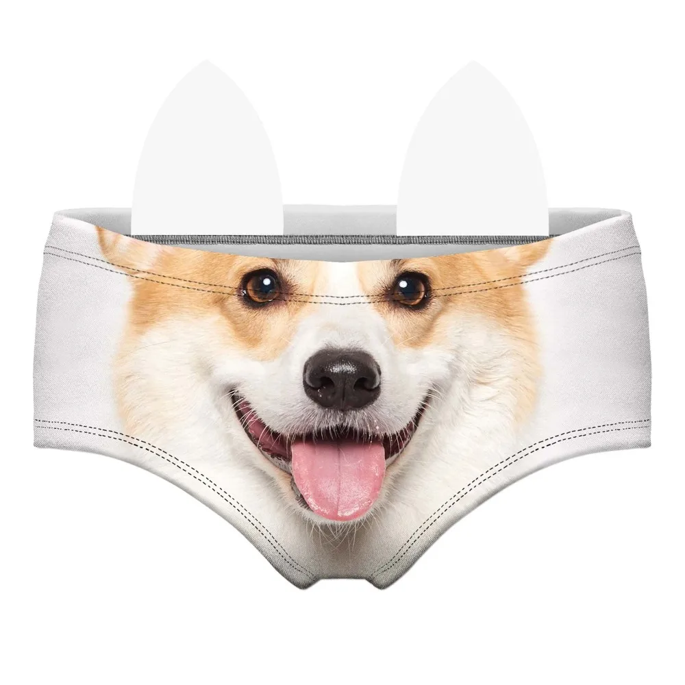 55105 corgi wiz front 