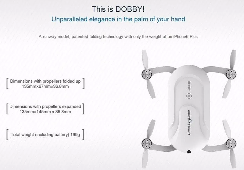DOBBY_01