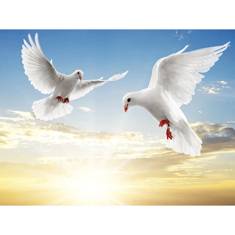 Камни в форме ромба/из серии &quotсделай сам&quot Алмазная вышивка два белых голубей 5D