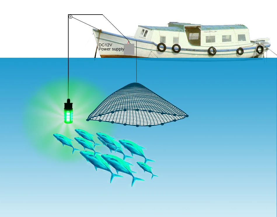 LED-Fishing-Lighting_05