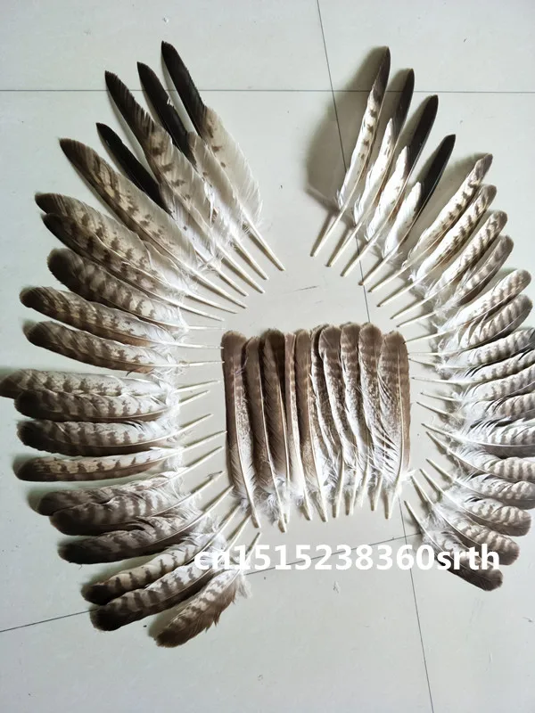 feathers for sale