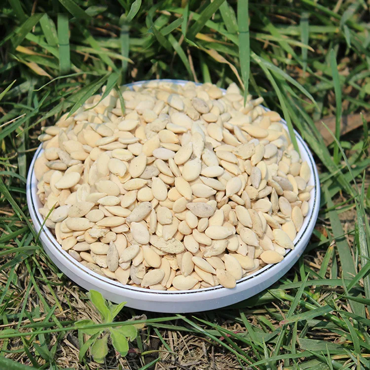 Hurtownie leków pojedyncze dwustronne dziecko zima melon nasiona melona