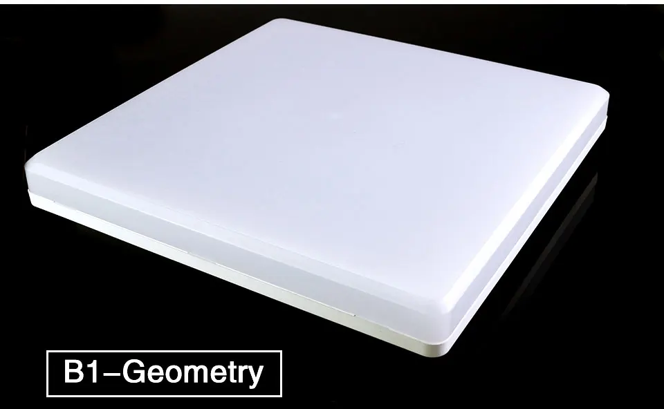 LED Ceiling light (26)