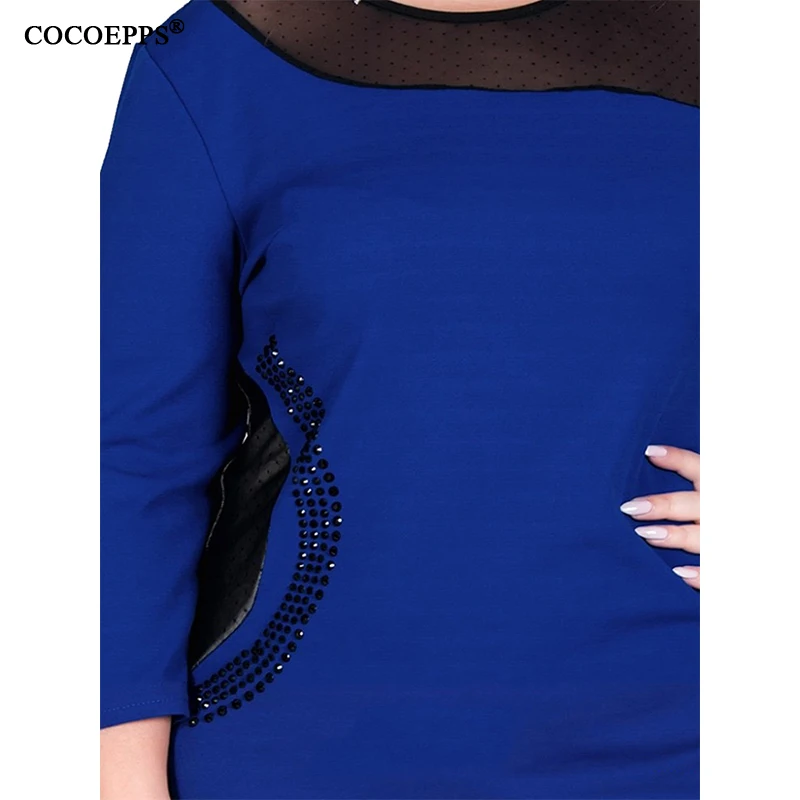 COCOEPPS  29