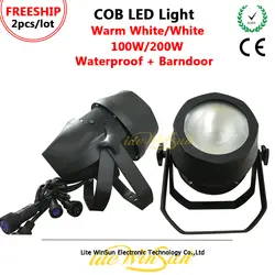 Litewinsunсветодио дный Бесплатная доставка водостойкий COB LED Par Light Вт 200 Вт 100 Вт теплый белый холодный белый COB pсветодио дный AR LED открытый