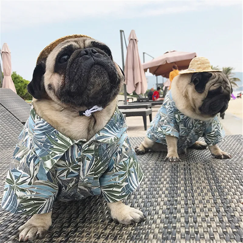 Bigeyedog летняя одежда для собак Рубашка питомцев французский Мопс бульдога Frenchie