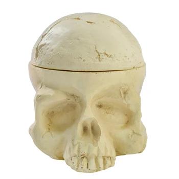 

Tattoo Ink Cup Holder 7 Holes Hard Resin Skull Tattoo Ink Cup Caps Holder Container Stand Permanent Makeup Microblading Supply