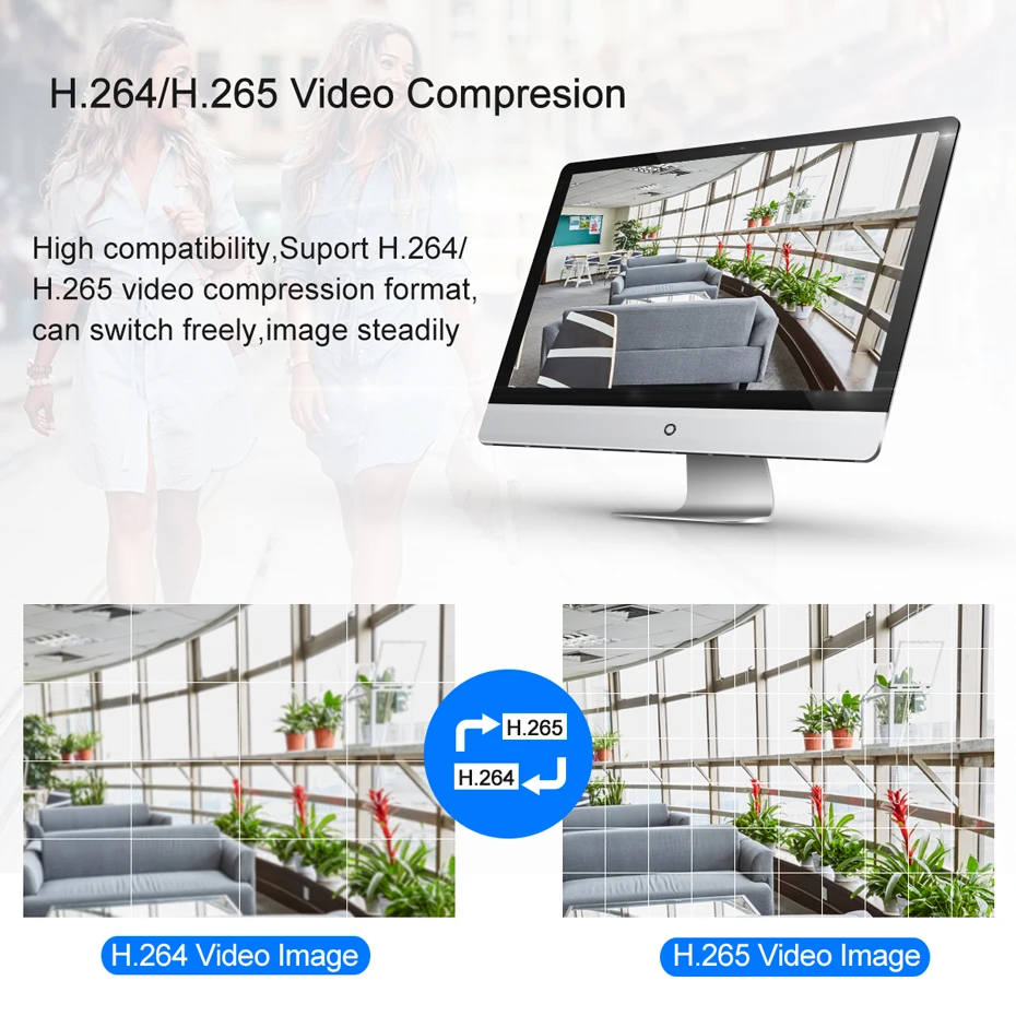 H265