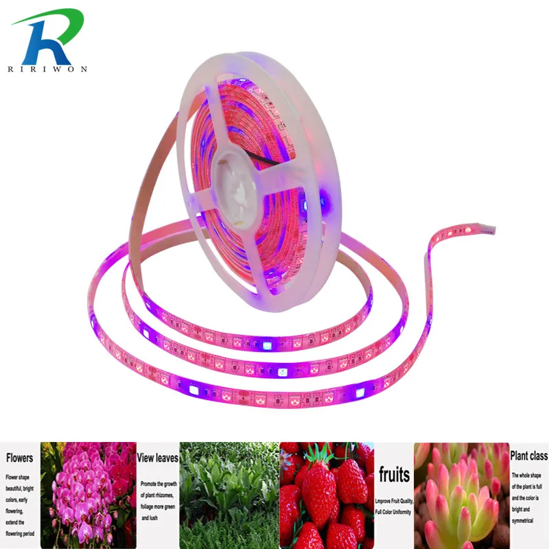 

RiRi won 5m LED Plant Grow strip grow light Waterproof 5050 DC 12V Hydstems growing 60leds/m Full spectrum Aquarium Greenhouse