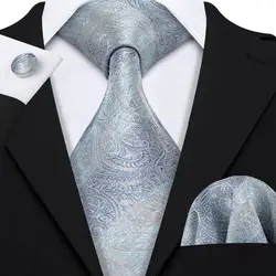 Барри. Ван серый Пейсли костюм галстук 100% шелковые галстуки Мужская одежда аксессуары галстук для Для мужчин Свадебная вечеринка Бизнес