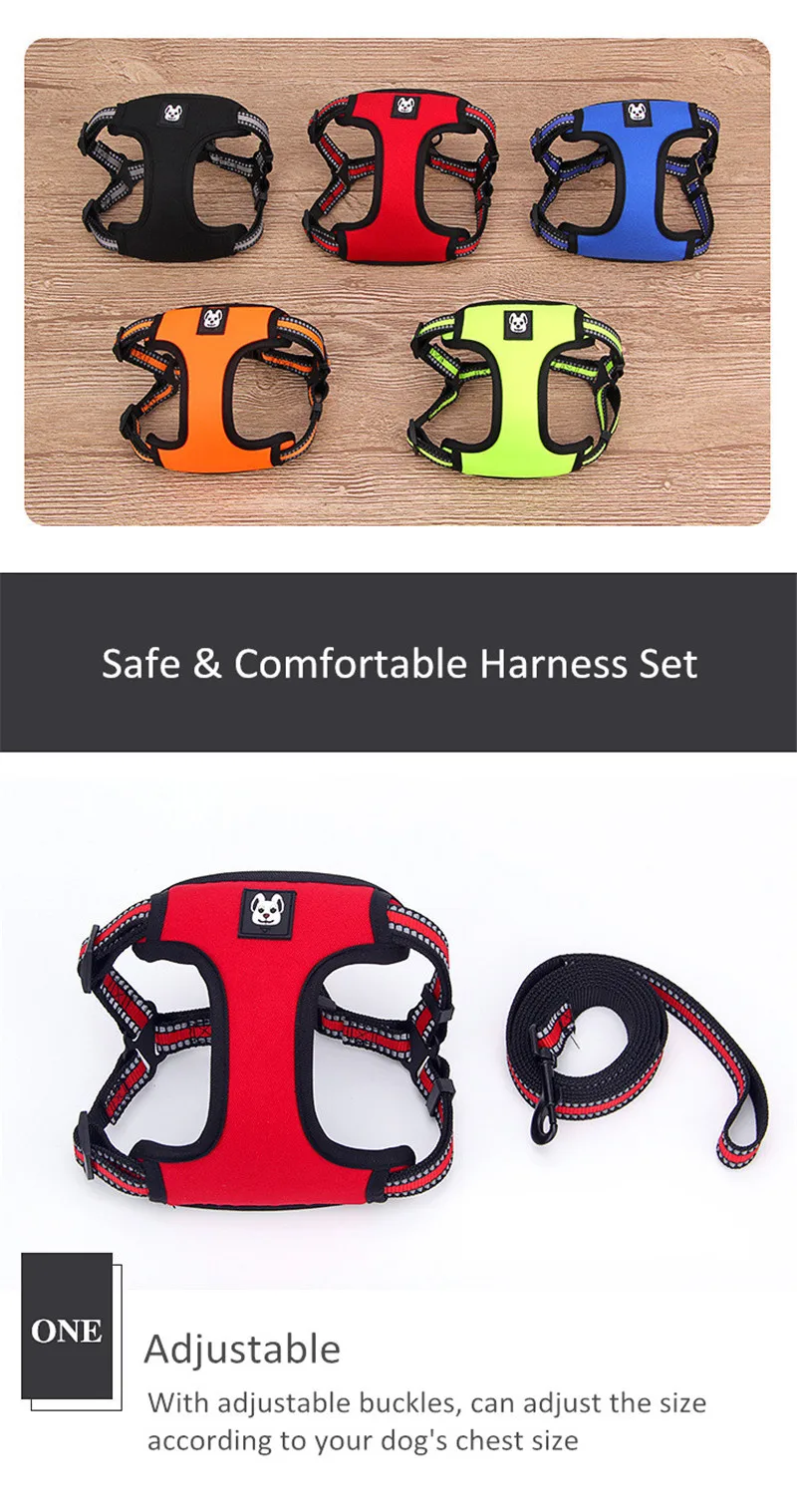Dog Harness and Leash Set  (12)