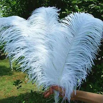 

High quality wholesale 50 pcs 18-20inches /45-50cm White ostrich feathers DIY jewelry decoration / wedding celebration