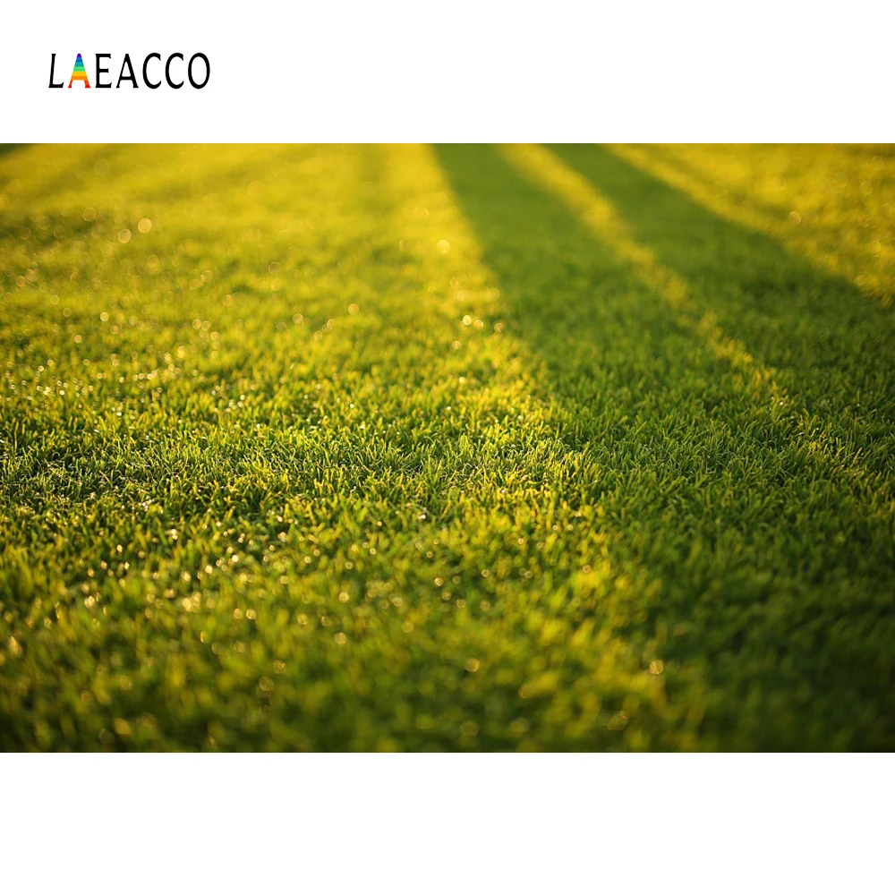 

Laeacco Green Hazy Grassland Lawn Sunshine Bokeh Photographic Background Customized Photography Backdrops Props For Photo Studio