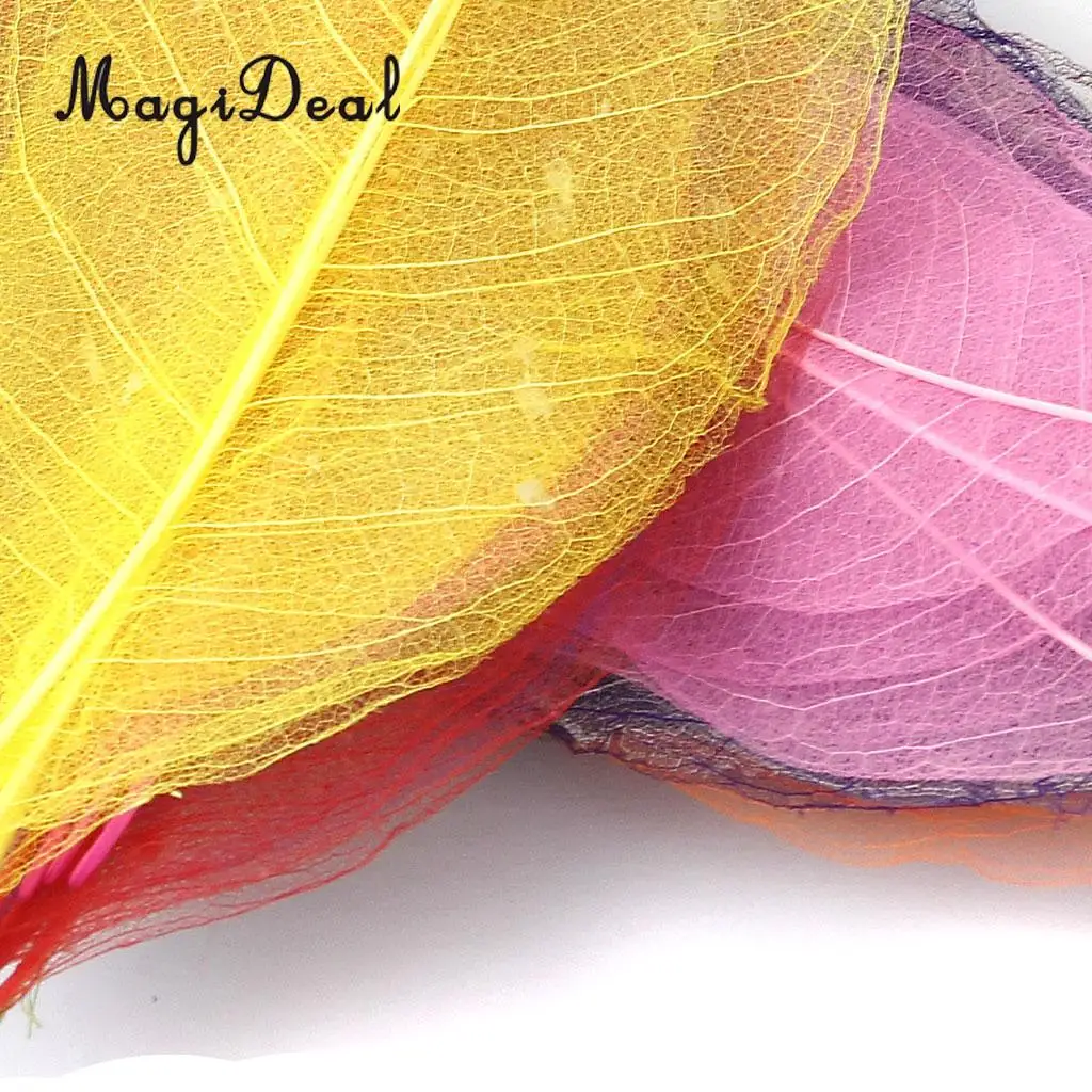 MagiDeal 50Pcs Natural Magnolia Skeleton Leaf Leaves Card Scrapbook - Mixed Color Decorate Cards Candles Packages
