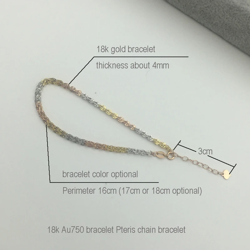 18k gold Pteris chain bracelet (1)