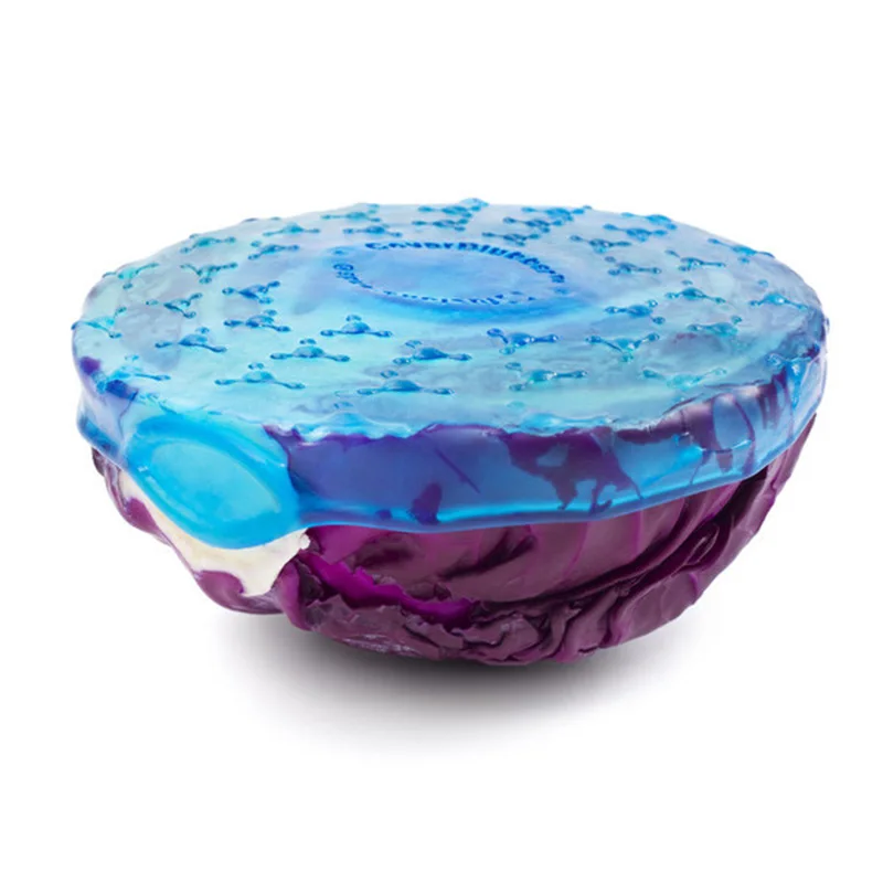 7302942241_119634406