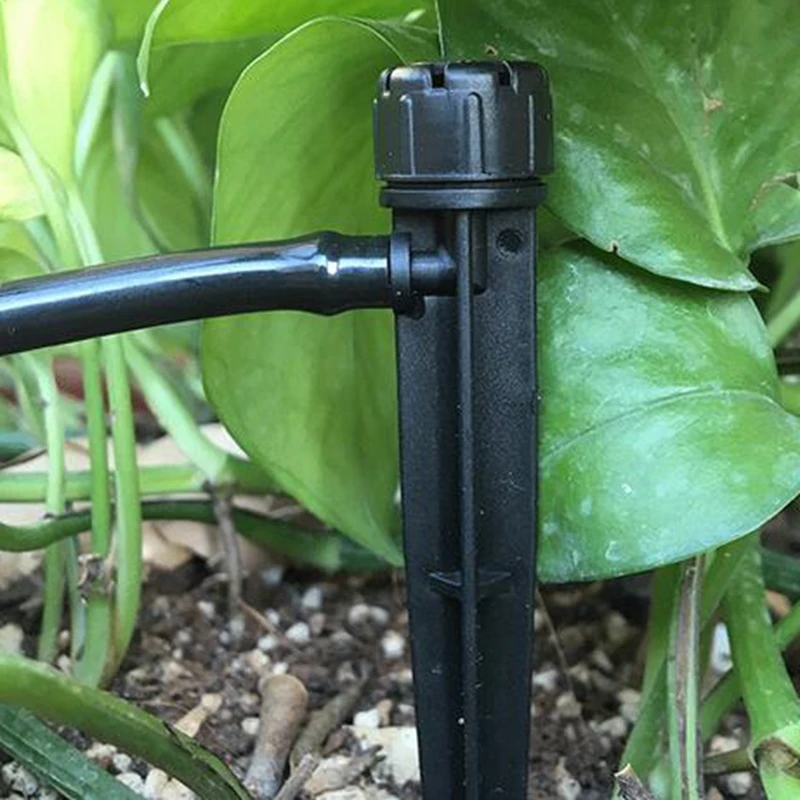 e0538d54-a5ef-4486-8b92-7d005b2fbd02