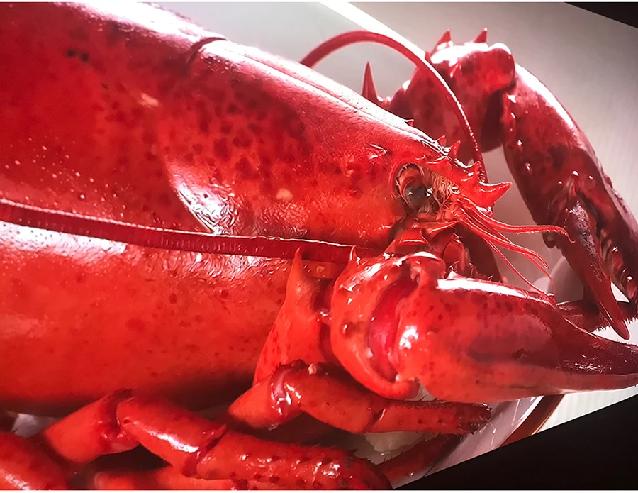 optoma-I5+-4K-projector_07