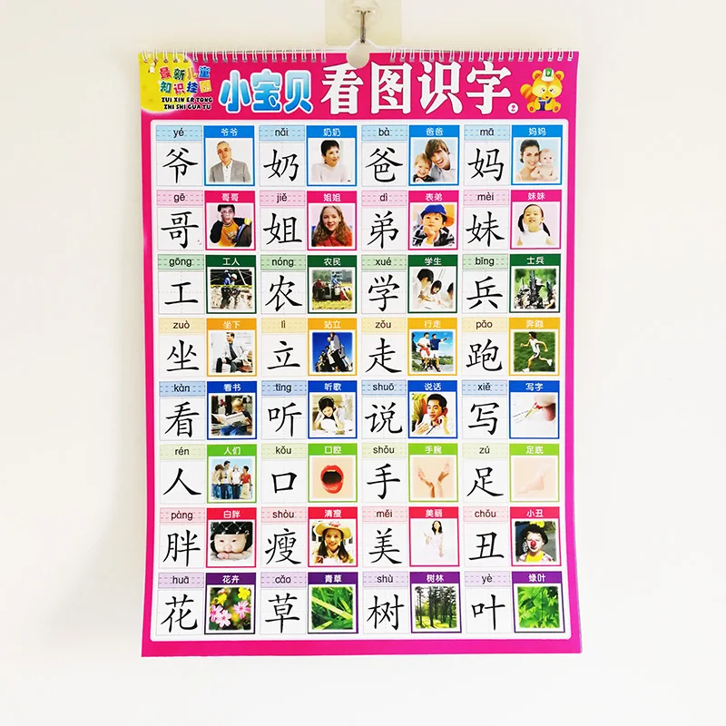10 листов/набор просвещение диаграмма для китайского для раннего обучения детей обучение китайских персонажей/пиньинь/Детская рифма/Животные