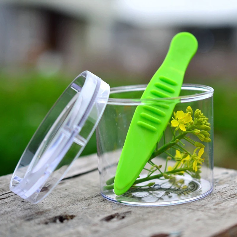 Детский школьный растение насекомых биологический набор инструментов для изучения пластиковые ножницы пинцеты для зажима милый набор игрушек для исследования природы для детей