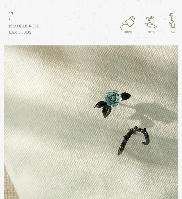 2345_image_file_copy_27