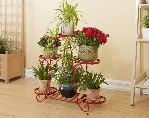 

Creative Metal Flower Plant Racks 3 Tiers Plant DisplayShelf Flower Pot Decorative Stand Holder Outdoor Indoor Pot Plant Stand