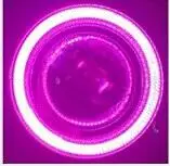 EOsuns COB angel eye Светодиодный дневной ходовой светильник DRL+ галогенный противотуманный светильник+ объектив проектора для Volkswagen VW tiguan 2010-12 - Цвет: purple