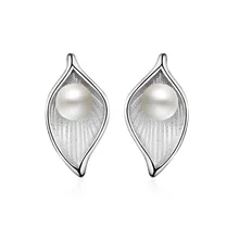 XIYANIKE 925 пробы серебряные жемчужные модные темпераментные дикие серьги для женщин Стерлинговое Серебро-ювелирные изделия Oorbellen Brincos VES6441