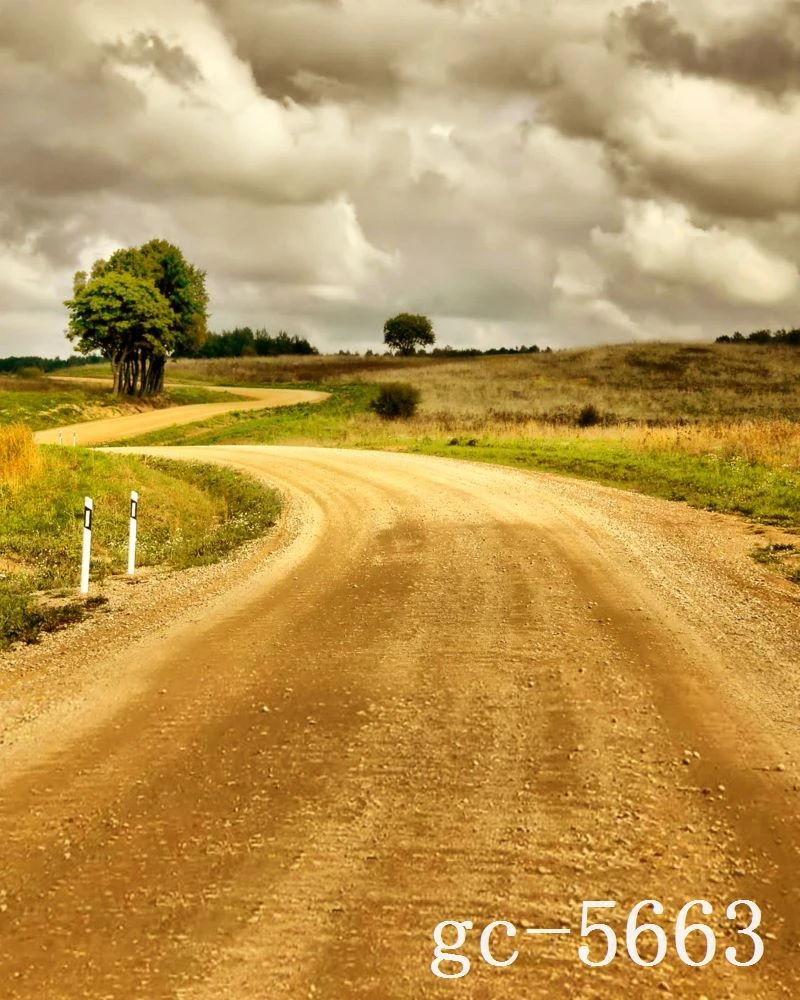 0cm 150cm 6 5ft 5ft Country Park Ride White Cloud Photography Backdrop Vinyl Baby Background Studio 5663 Background Studio Photography Backdrops Vinylbaby Background Aliexpress