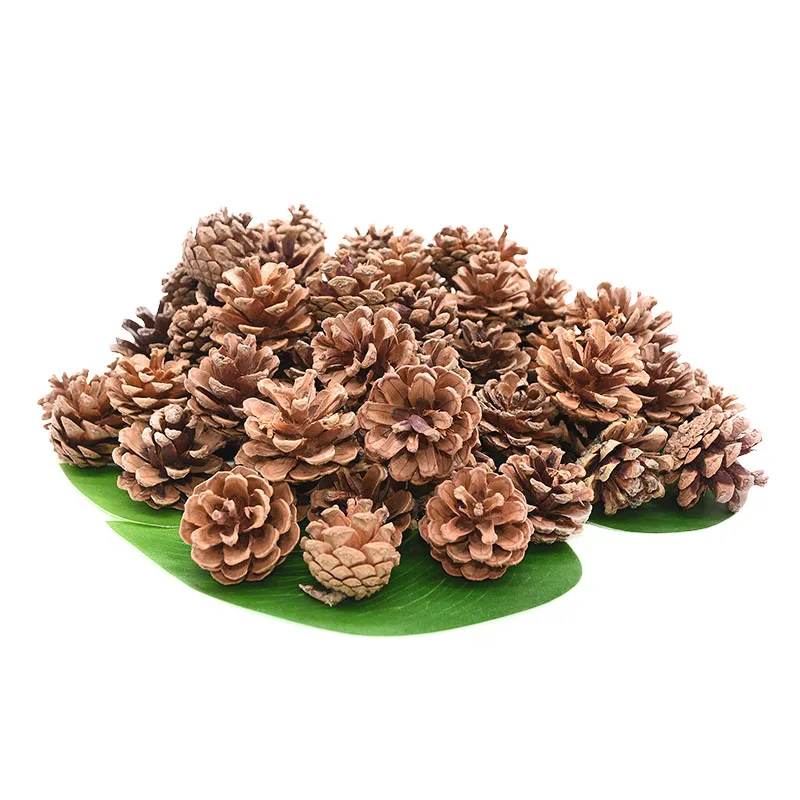 Natural Pine Cones Nuts Artificial Flower Pineapple Cones Fake